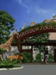 thrissur-zoological-park