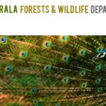 kerala-forest-and-wildlife-jobs