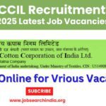 CCIL Recruitment 2025